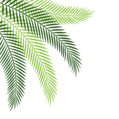 Poster - Palm Leaf Corner