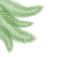 Poster - Palm Leaf Corner