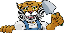 A Wildcat Gardener Cartoon Gardening Animal Mascot Holding A Garden Spade Tool Peeking Round A Sign