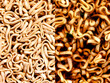 © Westend61 - Multiple image of raw and cooked ramen noodles