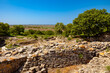 Ruins of Troy. Ancient cities in Anatolia concept photo