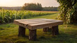 picnic table on the grass