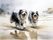 Two Australian Shepherd dogs running on the beach. Watercolor painting.