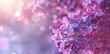 Enchanted Lilacs: A Symphony of Purple Hues and Soft Light - Generative AI