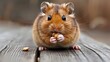 © Wall - A tight shot of a small rodent nibbling peanuts on a weathered wood table, with an indistinct background