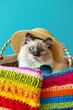 Beach-ready Ragdoll cat wearing straw hat in basket