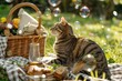 Tabby cat beside picnic basket watching soap bubbles in garden