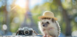 Adventurous hedgehog with camera on sunny day in nature