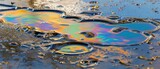 Fototapeta Konie - Chemical oil spill with iridescent sheen on water surface