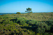 View on the nature and landscape in Ria Formosa in Faro, Portugal