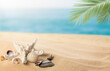summer background with seashells and starfish in the foreground and the sea in the background