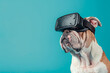 Bulldog with VR headset, AI generative art