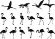 flamingo silhouette set on white background vector