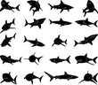 shark silhouette set on white background vector