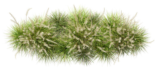 Wall Mural - Top view flowery grassy meadow group on transparent backgrounds 3d rendering png