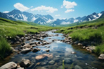 Canvas Print - Mountain river landscape with green valley and snow capped mountains in the distance