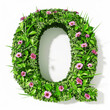 © AngrySun - Green organic grass with tiny flowers made letter Q on white clean background. Environment concept. Generative AI