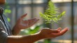 A human hand and a fern leaf. Man and Nature