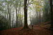Autumn forest with hiker walking