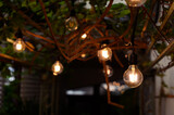 Fototapeta Niebo - vintage light bulb hanging from grape tree for decoration outdoor garden.