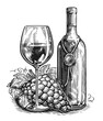 Hand drawn sketch of bottle, glass of wine and bunch of grapes. Black and white illustration. Vintage engraving
