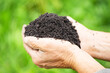 fertile soil in male hands, high-quality black ground in the farmer's garden