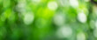 green blurred bokeh of vegetable garden, eco friendly background