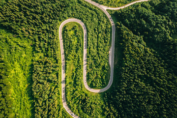 Poster - Winding road that passes through a coniferous forest. Carpathian mountains, Ukraine, Europe.