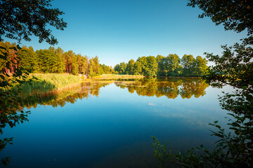 Poster - A magical view of a quiet lake surrounded by coniferous forest on a sunny day.