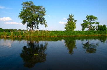 Canvas Print - Landscape of a lake and blue sky reflected.