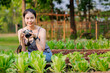 happy asian women with camera in vegetable garden agriculture plant farm, eco green farming travel concept.