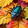A beetle crawling in colorful flowers