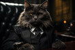 Elegant cat in a black suit, sitting confidently in an office setting.