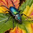 A beetle crawling in colorful flowers