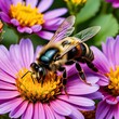 A honey bee collecting nectar from vibrant colorful flowers