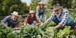 © vik.stock - Happy people of all ages working in the vegetable garden. Parents and children tend the garden together. Organic gardening