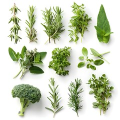collection of herbs