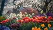 A colorful display of spring flowers in full bloom, heralding the arrival of the new season with vibrant tulips, daffodils, and cherry blossoms