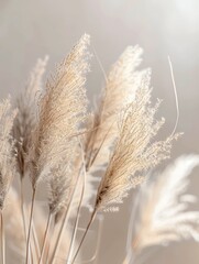 pampas grass in the wind - Background Poster