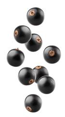Wall Mural - falling black currant isolated on white background, full depth of field