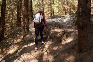 Woman hiker with backpack in a pine forest