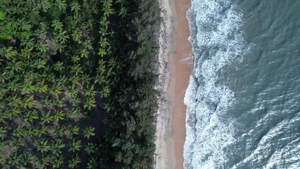Wall Mural - snehatheeram beach chavakkad kerala aerial view