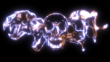 Poster - video of animal skull art design