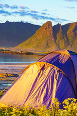 Wall Mural - Tent on beach, Lofoten islands, Norway