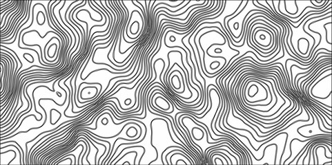 Poster - Abstract Black and White Line Contour Topography Pattern. Topographic Map wave curve lines banner background design. Paper Texture Imitation of a Geographical map shades .	