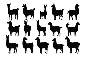 Wall Mural - Set of Llama black Silhouette Design with white Background and Vector Illustration