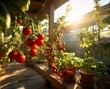 Balcony garden with cherry tomatoes