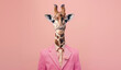 Stylish funny giraffe in a suit looking at the camera on a pink background, animal, creative concept