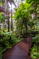 Canvas Print - Royal Botanic Gardens in Melbourne Australia