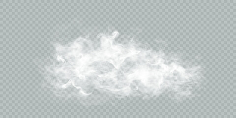 Poster - Realistic Cloud, smoke, fog, background png. Vector cloud or smoke on isolated transparent background.